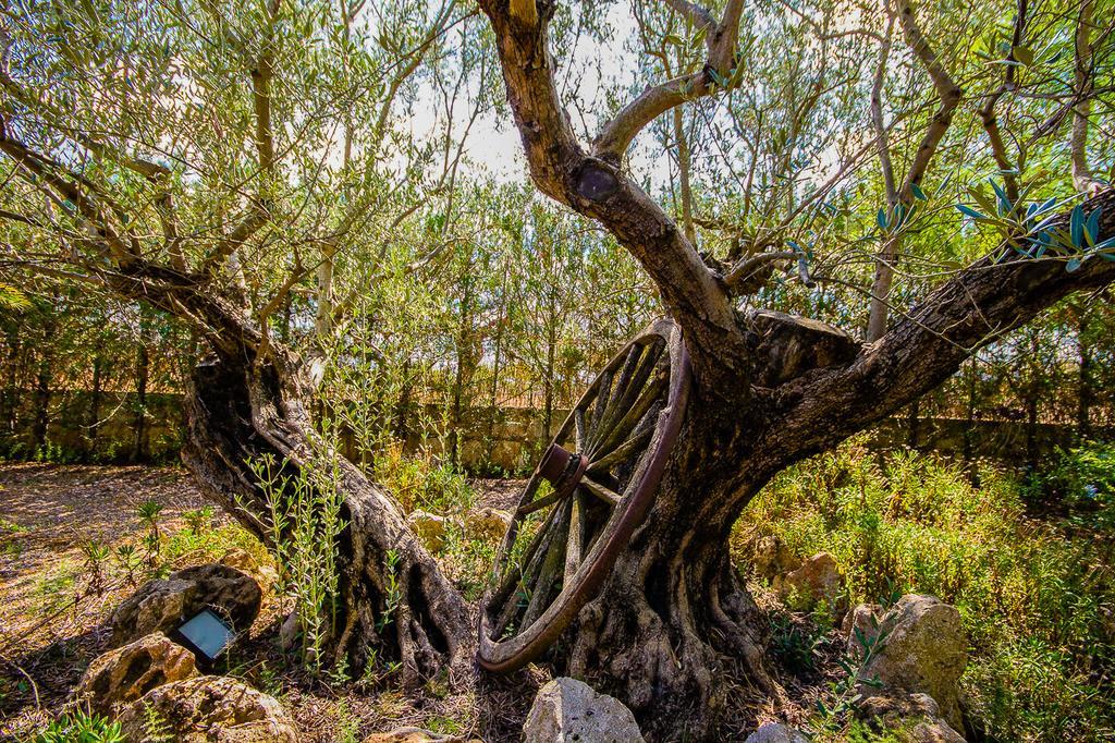 Can Pascolet Inca  Bagian luar foto